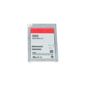 Dell - Solid state drive - 256 GB - intern - MSATA -  for Latitude E5540, E7240, E7440  Precision Mobile Workstation M3800, M4800, M6800