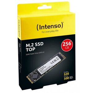 Disco Duro Intenso SSD M.2 interna SATA III 256 GB 520 MB/s