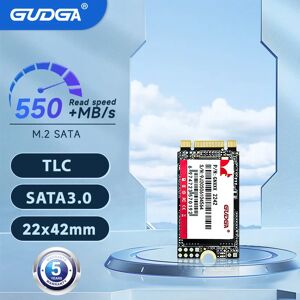 GUDGA-Disque dur interne pour ordinateur portable  SSD 2242 M2 NGFF SATA SSD 1TB 128GB 512GB SSD m2