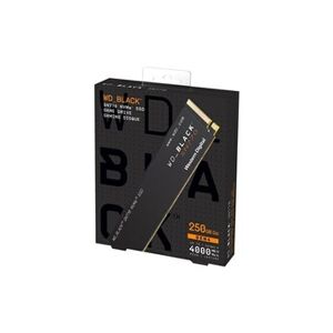 Western Digital WD_BLACK SN770 WDS250G3X0E - SSD - 250 Go - interne - M.2 2280 - PCIe 4.0 x4 (NVMe) - Publicité