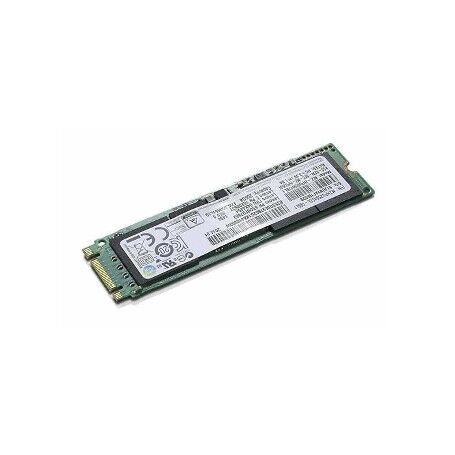 Lenovo 04X4489 drives allo stato solido M.2 256 GB Serial ATA III (04X4489)