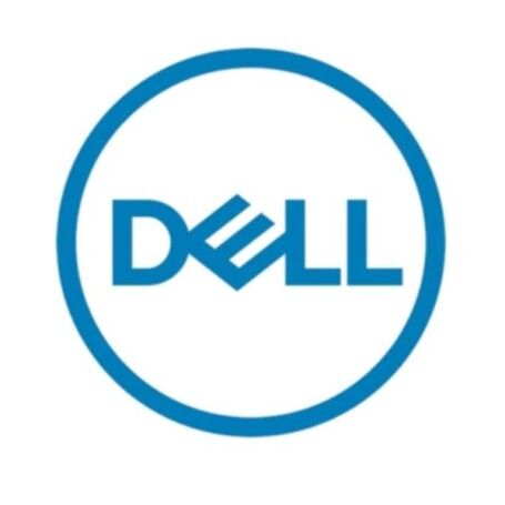 Dell 161-BCJX disco rigido interno 3.5" 12 TB NL-SAS (161-BCJX)