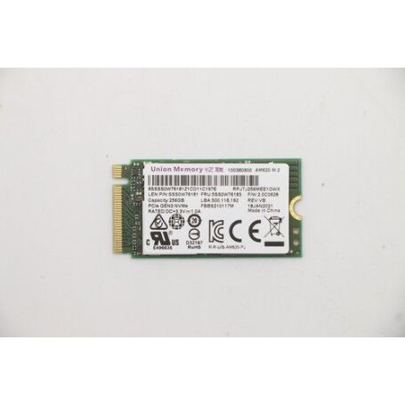 Lenovo 5SS0W76183 drives allo stato solido M.2 256 GB PCI Express 3.0 NVMe (5SS0W76183)
