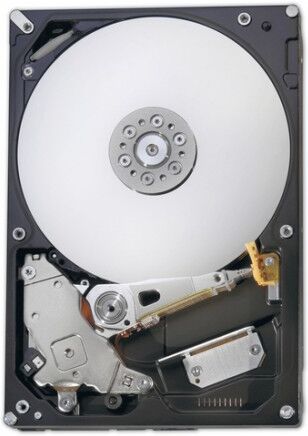 Fujitsu S26462-F3500-L102 disco rigido interno 3.5" 1000 GB Serial ATA III (S26462-F3500-L102)