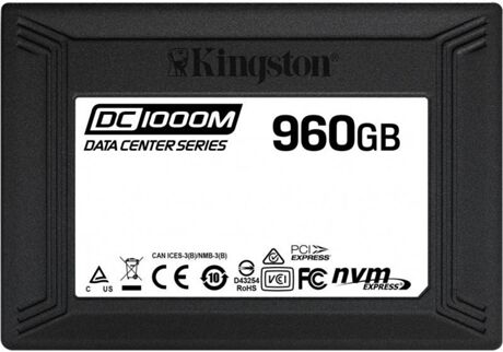 Kingston Disco SSD Interno DC1000M (960 GB - U.2 - 3100 MB/s)