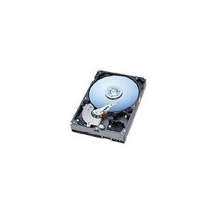 Western Digital WD800AB Caviar Mainstream Retail Hard Drive 80 GB 9.0ms U-ATA / 100 2.0 MB