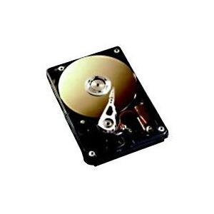 Fujitsu Siemens - Hard drive - 73 GB - hot-swap - Ultra320 SCSI - 10000 rpm