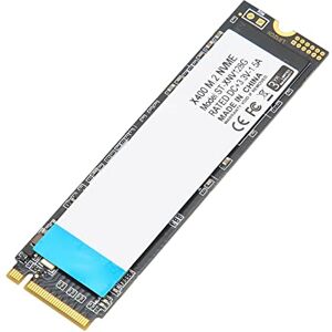 Bewinner PCIE 3.0 Nvme M.2 SSD, Internal Solid State Drive SSD, Gen3 X4 Interface 2100MB/s, Storage and Memory Expansion for Gaming (256GB)