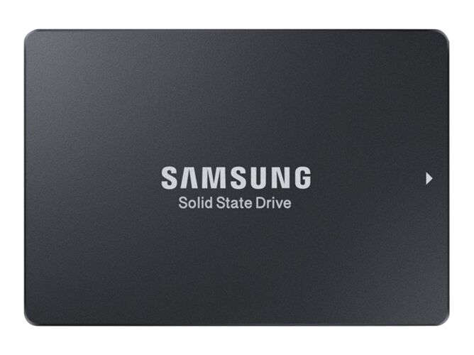 Samsung Disco SSD Interno SAMSUNG Enterprise (2 TB - SATA - 550 MB/s)