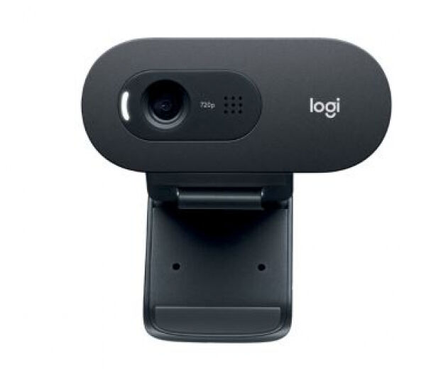 Logitech C505E - HD-Webcam