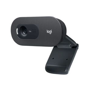 OEM Logitech C505e HD 720p Business Webcam - Sort