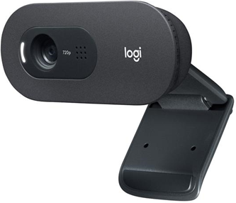 Logitech C505 webcam 1280 x 720 Pixel USB Nero