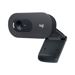 Logitech Webcam C505 - webcam 960-001364