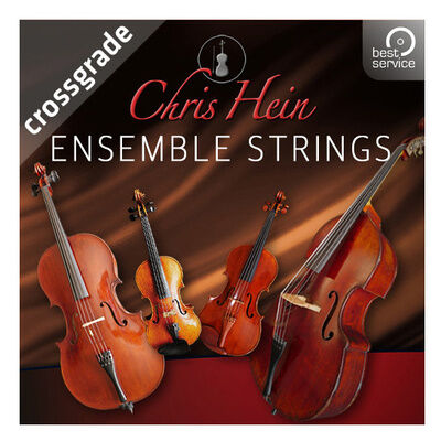 Best Service Chris Hein Ensemble Strings CG