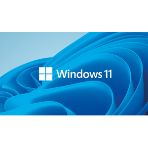 Microsoft WIN11 PRO DE - Software, Windows 11 Pro, deutsch