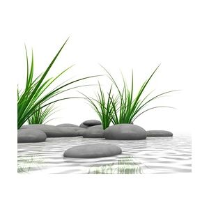 Breuer Duschrückwand Zen & Gras Foto über Eck 90x90x210x0,3 cm