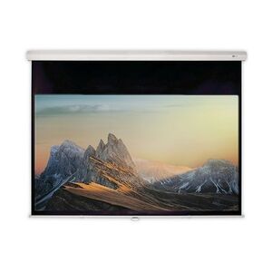 DELUXX Advanced Rolloleinwand Slowmotion 16:9 Mattweiss Polaro 266 x 148 cm