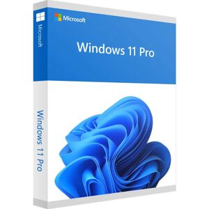Microsoft Windows 11 Pro - Produktschlüssel - Sofort-Download - Vollversion - Deutsch
