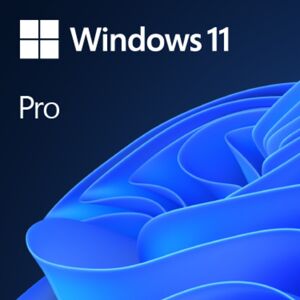 Microsoft Windows 11 Pro   OEM   DVD & Produktschlüssel