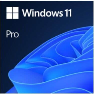 MICROSOFT Betriebssystem "Windows 11 Pro OEM" Software eh13 PC-Software