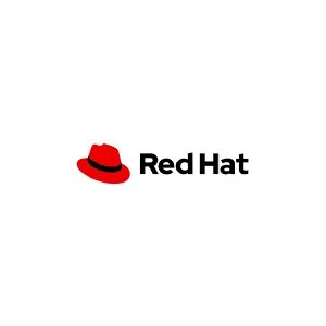 Red Hat Resilient Storage Add-On for Service Providers - Abonnement (1 år) + Layered Support - ubegrænsede gæster, 1 kontaktpar - CCSP - Dedicated Of