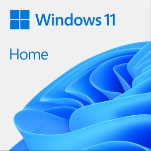 Microsoft Windows 11 Home Fysisk