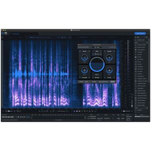 iZotope RX 10 Std UG RX Elem / PlgPack