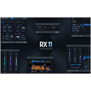 iZotope RX 11 Adv Upgrade RX Adv/PPS