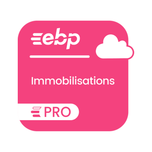 EBP Immobilisations PRO en ligne + Service Premium - Abonnement 1 an - Publicité