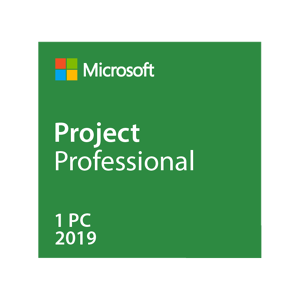 Microsoft Project Professionnel 2019