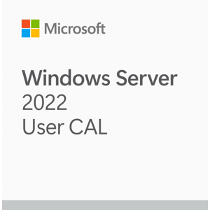 Microsoft Windows Server 2022 Cal Utilisateur / User - 100 Utilisateurs