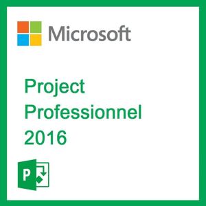 Microsoft Project Professionnel 2016