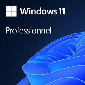 Microsoft Windows 11 PRO 64Bits COEM - Publicité