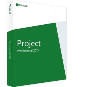 Project 2013 Professional