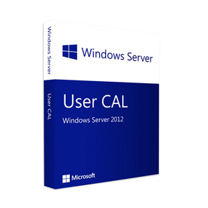 Microsoft Windows Server 2012 10 User Cals