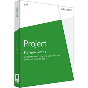 Microsoft Project Professional 2013 (windows)