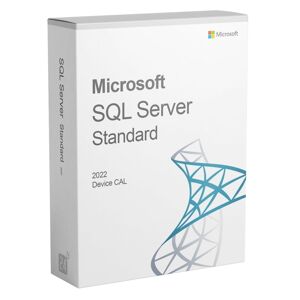 Microsoft SQL Server Standard 2022 a VITA