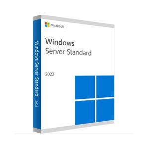 Microsoft Windows Server 2022 Standard A VITA