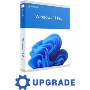 Microsoft Windows 11 Pro Professional UPGRADE 32/64 BIT ESD a VITA