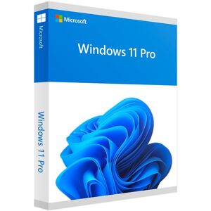 Microsoft Windows 11 Pro - 1