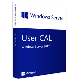 Microsoft WINDOWS SERVER 2012 10 USER CALS