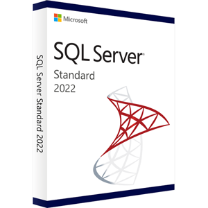 Microsoft SQL Server 2022 Standard CALS INCLUSE