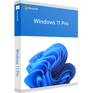 Microsoft WINDOWS 11 PROFESSIONAL