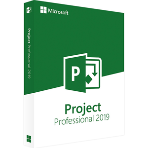 Microsoft PROJECT PROFESSIONAL 2019 (WINDOWS)