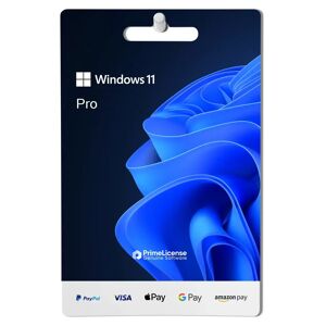 Microsoft Windows 11 Professional