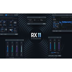 iZotope RX 11 Standard Crossgrade