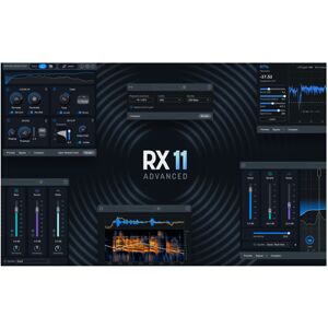 iZotope RX 11 Adv Upgrade RX Adv/PPS