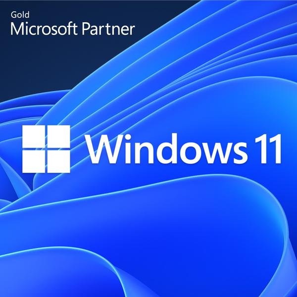 Microsoft sw ms windows 11 pro 64bit 1pk dsp oei dvd