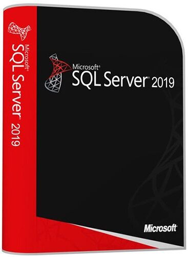 Microsoft Windows Sql Server 2019 Standard Cals Incluse