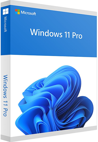 Microsoft Windows 11 Professional